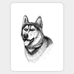 Siberian Husky Illustration Sticker